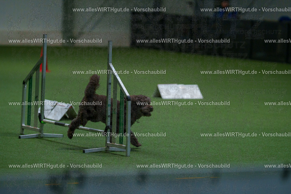 7R503521 | Professionelle Tierfotografie in Mönchengladbach von Daniel Wirth (allesWIRTHgut). Liebevolle & natürliche Bilder von Hunden & Katzen für unvergessliche Erinnerungen.