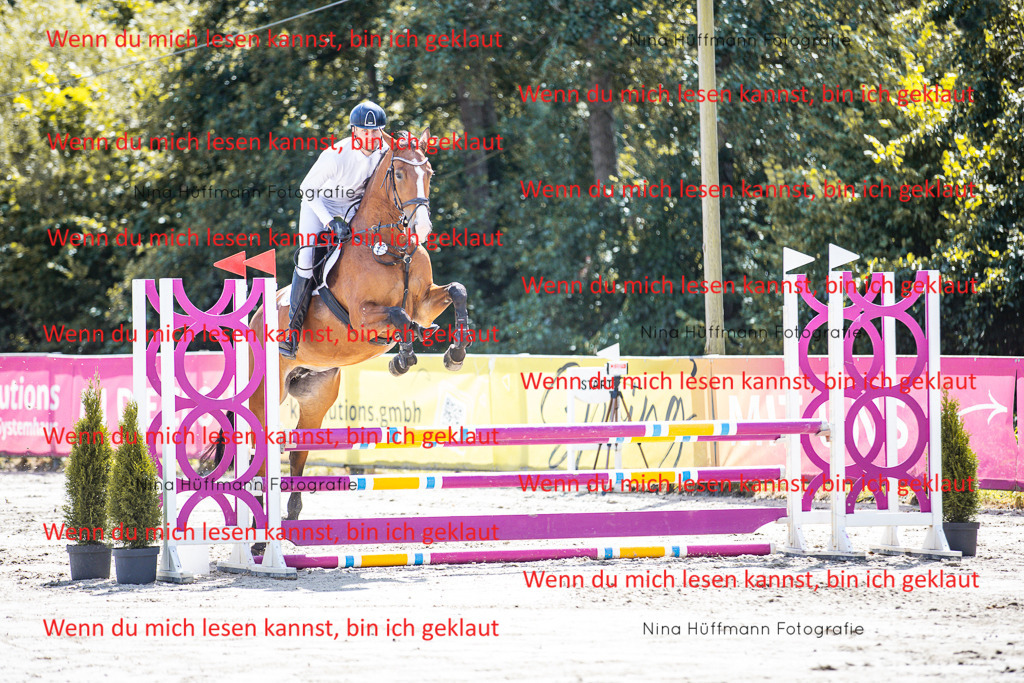 BK1A5141 | Turnierbilder Turnierfotos Nina Hüffmann Turnierfotografie Pferdefotografie Tierzeichnung Haustierzeichnung Pferdezeichnung Hundezeichnung Videograf  - Realisiert mit Pictrs.com