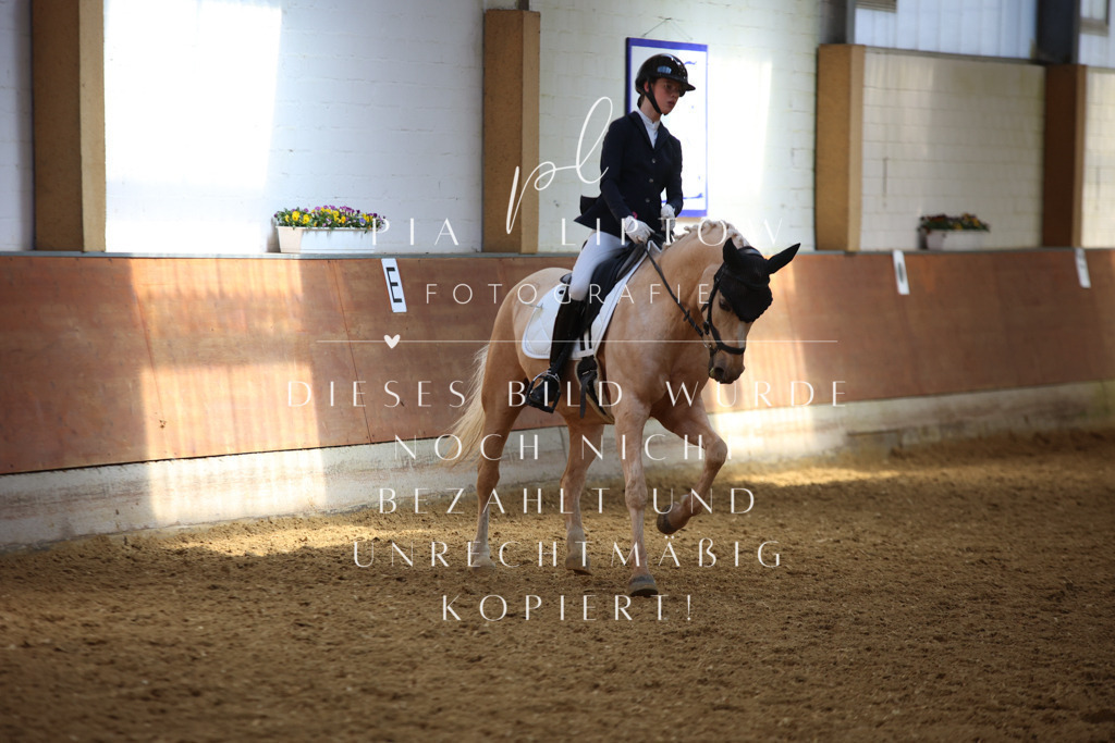 IMGT4924 | pl-fotografie