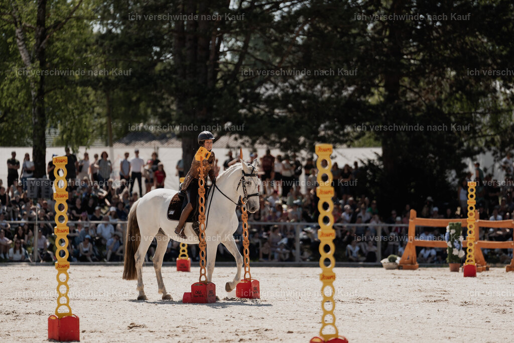 WE_SP_Stoib_347_PI2025_1552 | Pferd International München 2025