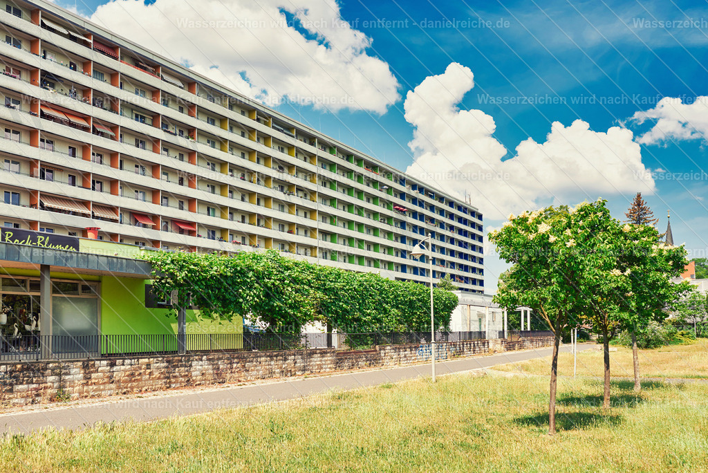 Hoyerswerda-Neustadt im Sommer 2023 - Dietrich-Bonhoeffer-Straße Stadtzentrum | Hoyerswerda-Neustadt im Sommer 2023 - Dietrich-Bonhoeffer-Straße Stadtzentrum - Realisiert mit Pictrs.com