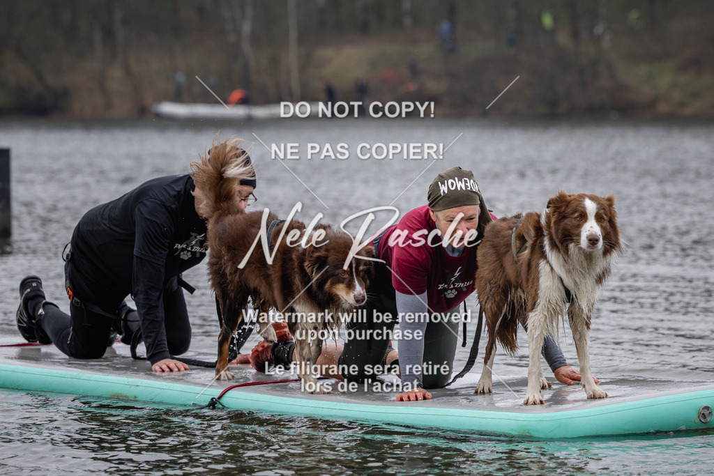 nelerasche_Hulsbeek_Sa1330-1430_346 | nelerasche