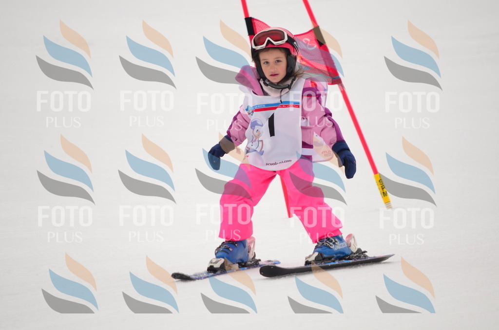 B9183 | holidayphoto