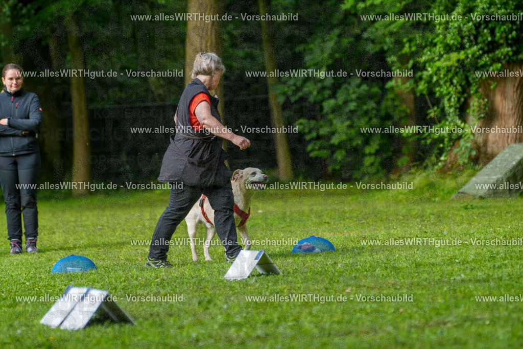 @allesWIRTHgut_Tierfotografie - www.allesWIRTHgut.de - 7R502188 | Professionelle Tierfotografie in Mönchengladbach von Daniel Wirth (allesWIRTHgut). Liebevolle & natürliche Bilder von Hunden & Katzen für unvergessliche Erinnerungen.