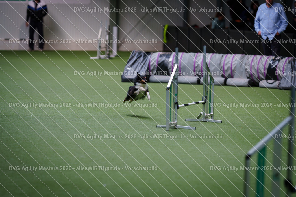allesWIRTHgut_Tierfotografie-DVG_Agility_Masters_2026-12_06-7R507317 | Professionelle Tierfotografie in Mönchengladbach von Daniel Wirth (allesWIRTHgut). Liebevolle & natürliche Bilder von Hunden & Katzen für unvergessliche Erinnerungen.