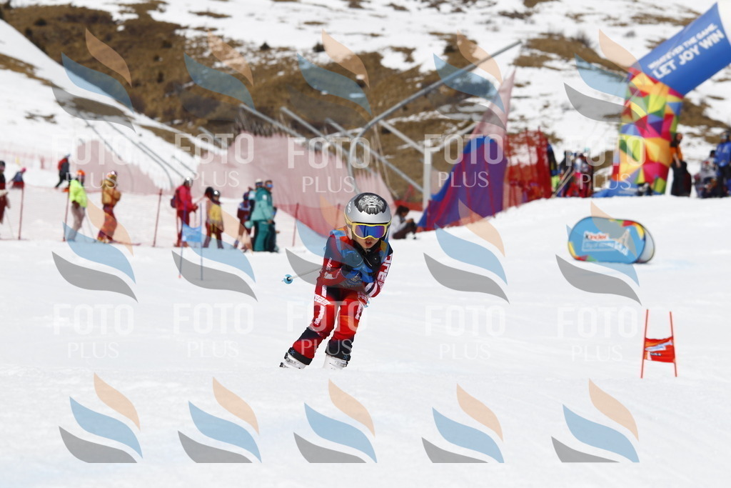 _U3G7930 | holidayphoto