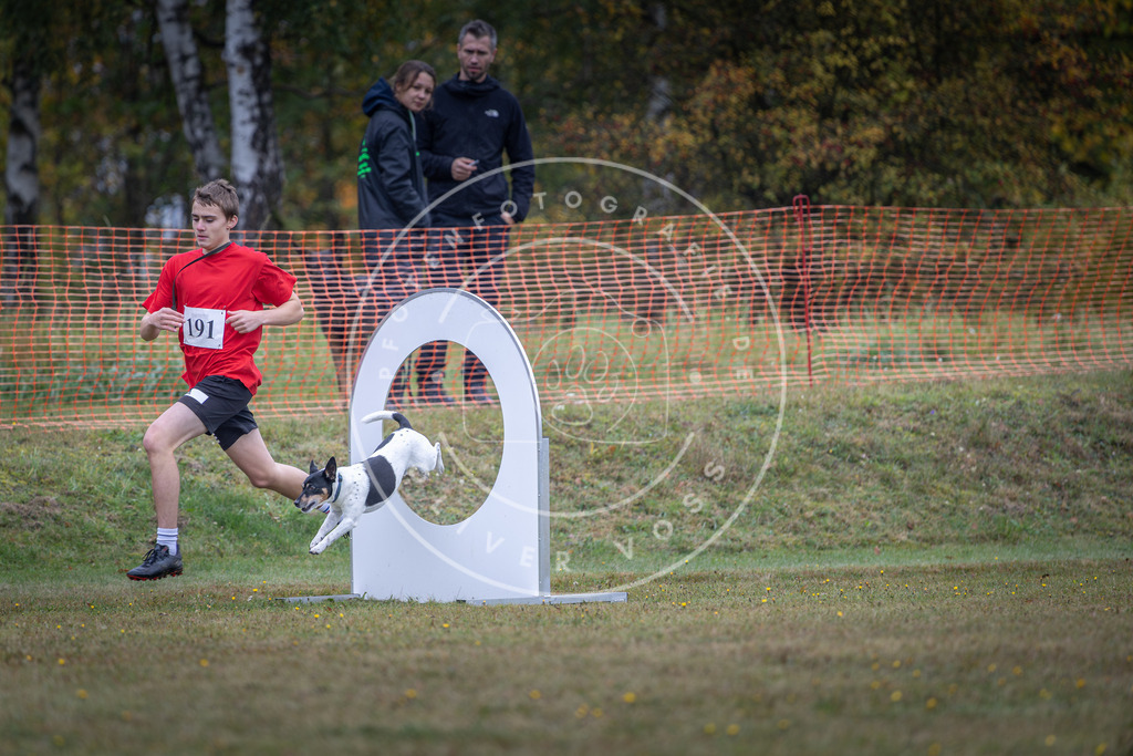 Pfotenfotografie_DV3A0616 | Hundefotografie, Tierfotograf, Pfotenfotografie, Fotoshooting Hund, Hunde Portrait, Hundesport, Hundeportraits, Heideshooting, Hunde, Sportfotograf, Hundefotograf, Turnierhundsport, THS,  - Realisiert mit Pictrs.com