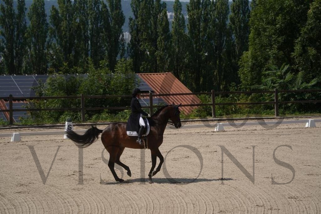 tgbhfreitag (1085) | d.tail Visions - Shop - Realisiert mit Pictrs.com