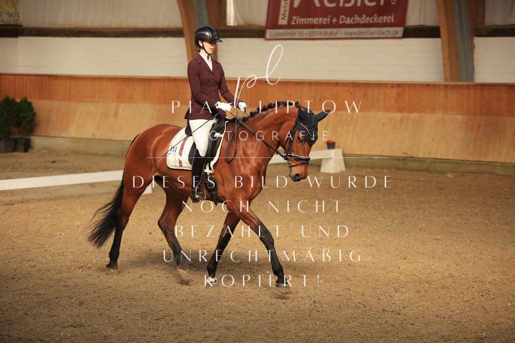 IMGT4611 | pl-fotografie