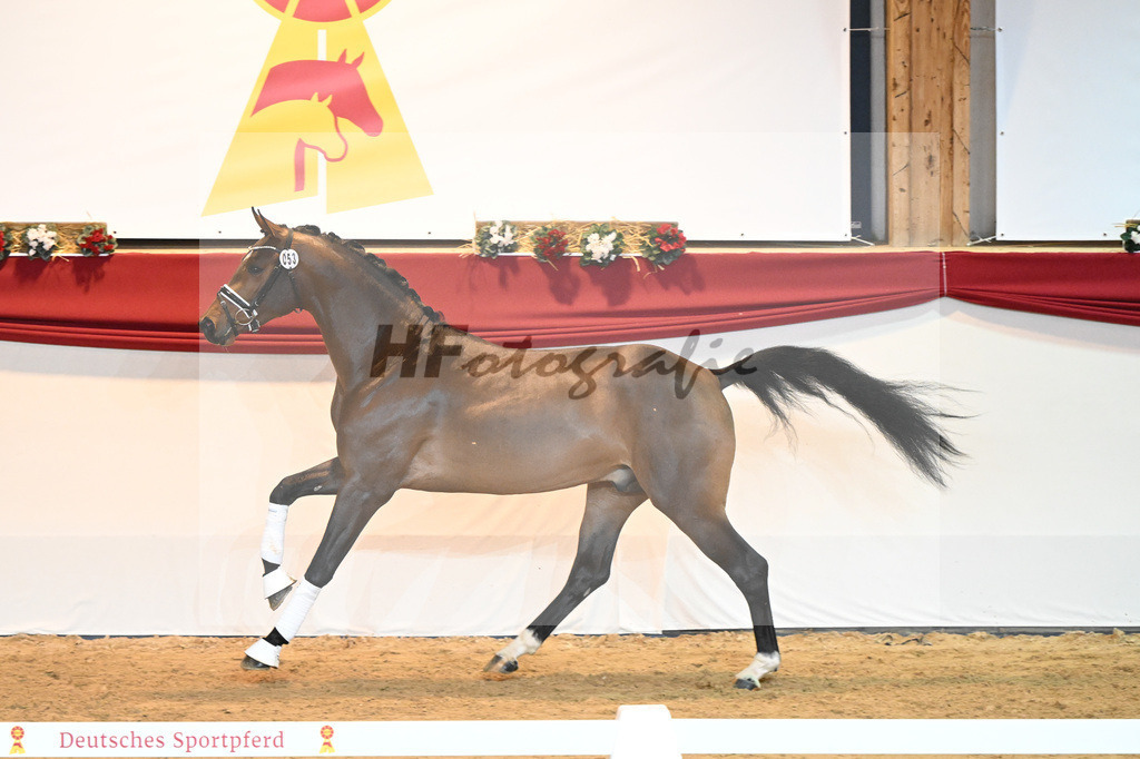 Kat-Nr. 53 For Dance_Haefner_1230140 | hf-fotografie - Realisiert mit Pictrs.com