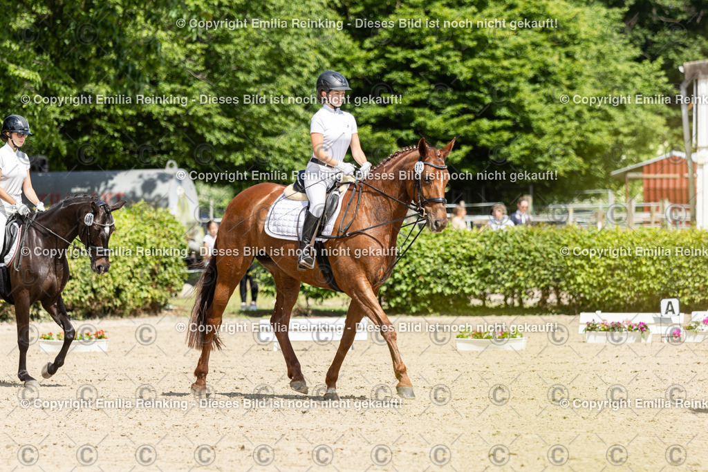 CL5A0625 | Emilia Reinking Fotografie - Realisiert mit Pictrs.com