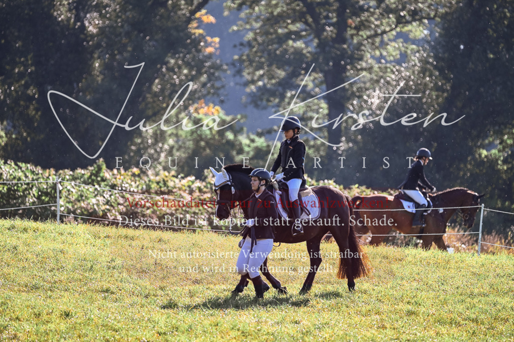 DSC_0372 | Pferde- und Turnierfotografie in Westsachsen. Pferdeportraits, Auftragszeichnungen und intuitive Kunst.