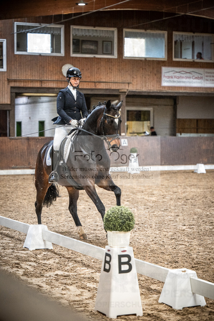 DOS_0434 | Entdecke hochwertige Reitturnierfotos von Foto Oger. Professionell, emotional und authentisch – jetzt Lieblingsmomente im Shop bestellen.Deutschlandweite Turnierfotografie. - Realisiert mit Pictrs.com