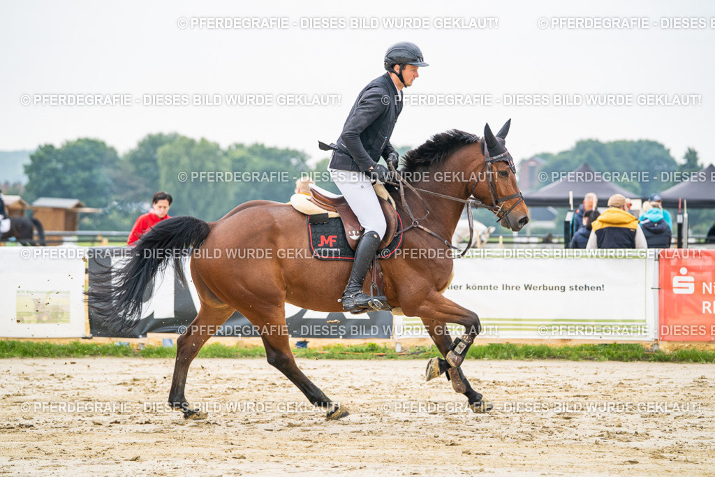 DSC09457 | Pferdegrafie