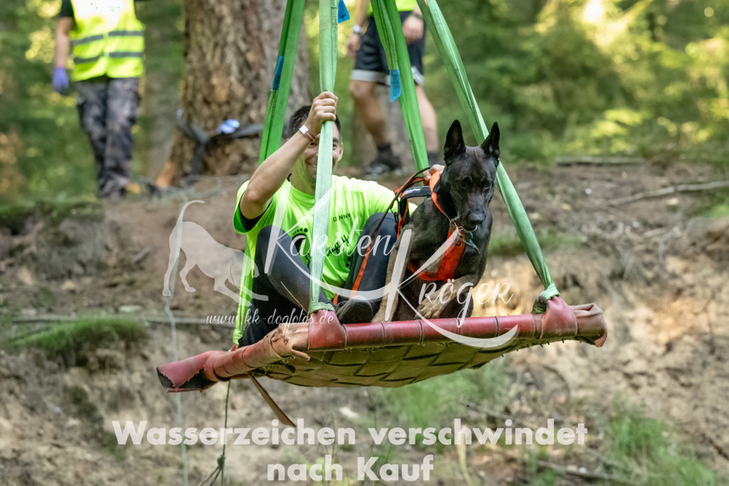 1413_ZZ94912-Bearbeitet-4 | kk-dogfotos