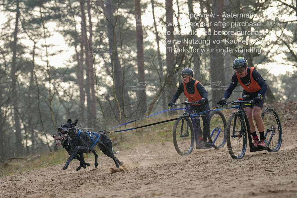 Scooter1-63 | stephaniefillaphotographie - Realisiert mit Pictrs.com