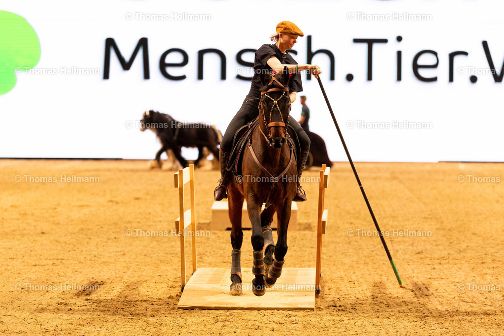 TH_Show Cup_26833 | EQUITANA 2025 am 08.03.25 in Essen