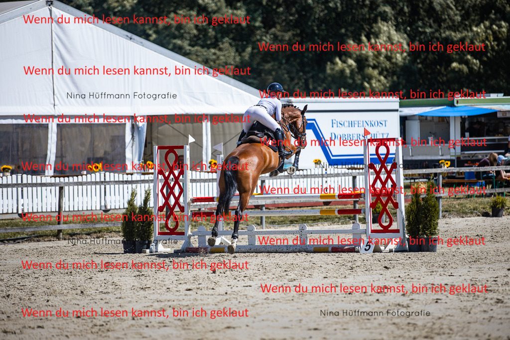 BK1A5316 | Turnierbilder Turnierfotos Nina Hüffmann Turnierfotografie Pferdefotografie Tierzeichnung Haustierzeichnung Pferdezeichnung Hundezeichnung Videograf  - Realisiert mit Pictrs.com