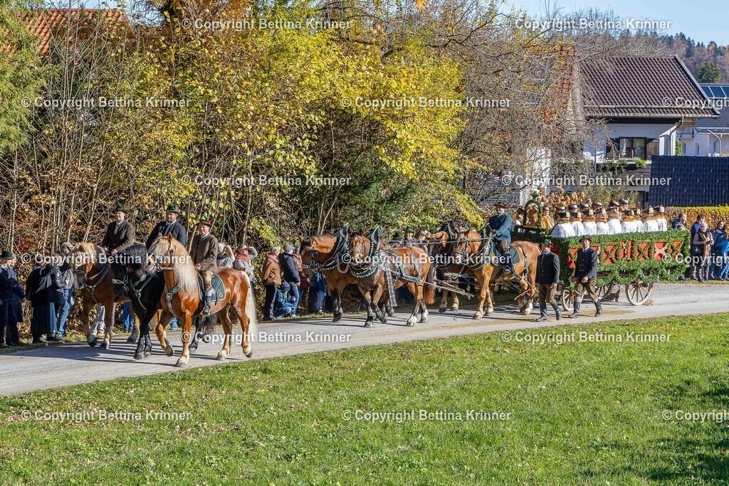 LBT25-765 | foto-bettina-krinner - Realisiert mit Pictrs.com
