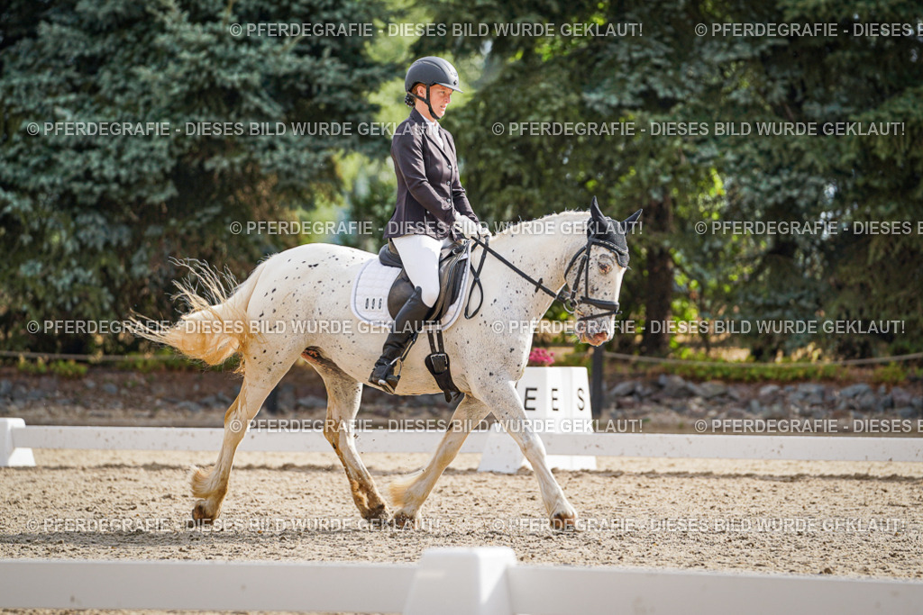 DSC01010 | Pferdegrafie