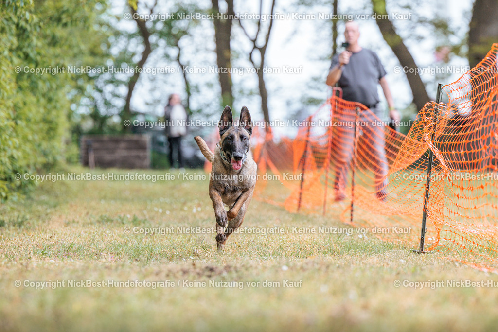 Sage Hunderennen Frühlingsfest-2026-Nickbest-Hundefotografie-0352 | Dein Hund! Dein Moment! Deine Erinnerungen! Hundefotografie in Bremen Blumenthal. Ich fange die besonderen Momente deines Vierbeiners ein – ob Indoor mit Blitzanlage oder in der freien Natur. Sicher dir dein Moment und dein Termin für eure Erinnerungen.