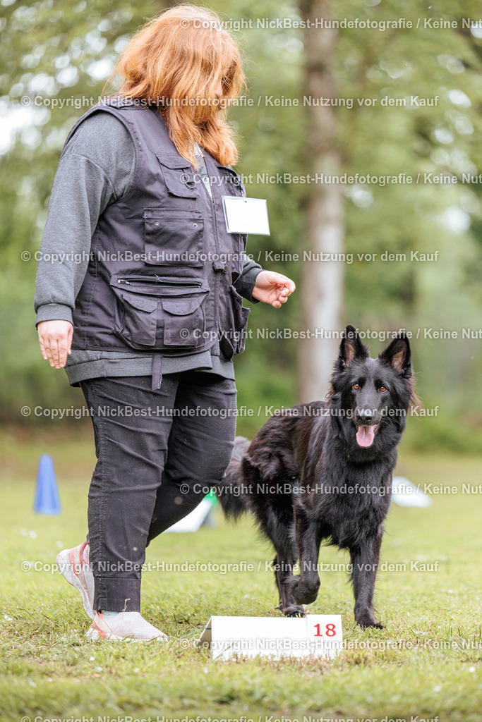 RO-Blumenthal-2026-Nickbest-Hundefotografie-3355 | Dein Hund! Dein Moment! Deine Erinnerungen! Hundefotografie in Bremen Blumenthal. Ich fange die besonderen Momente deines Vierbeiners ein – ob Indoor mit Blitzanlage oder in der freien Natur. Sicher dir dein Moment und dein Termin für eure Erinnerungen.