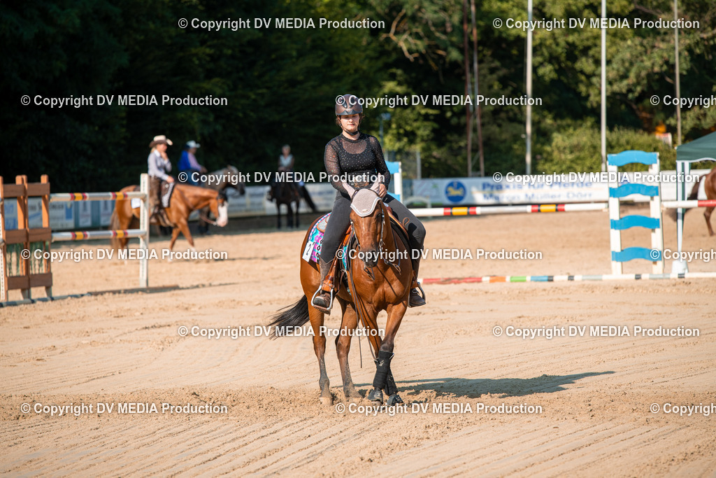 ZS2_8868 | dv-media-shop - Realisiert mit Pictrs.com