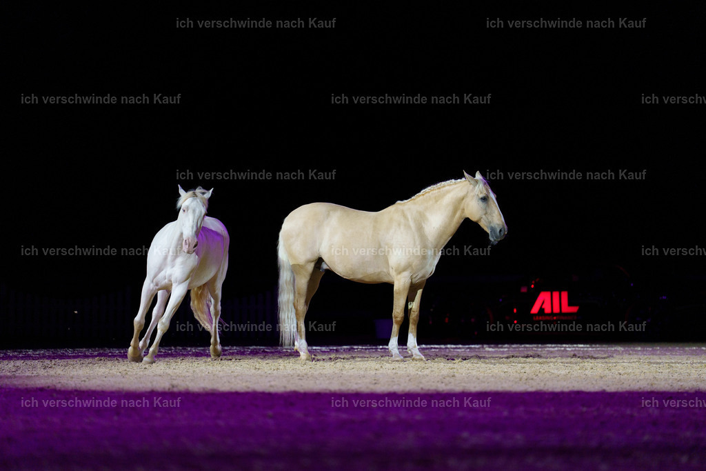 Gala-136 | working equitationturnier fotograf videograf stoibphotography marixx film working equitation deutschland reitsport turnierfotografie eventfotografie equestrian events