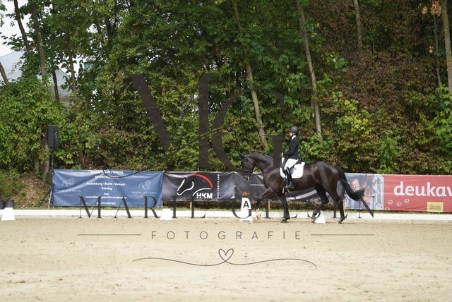 VAN01218 | Pferdefotografie in Köln und Umgebung – emotionale Pferdeshootings, Turnierfotografie und besondere Momente zwischen Pferd und Mensch. - Realisiert mit Pictrs.com