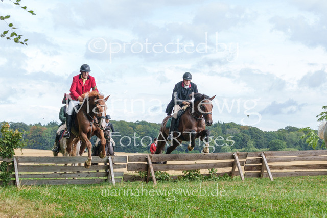 Jagd Knoop 26_MarinaHewigMCH02610 | Fotografie, FotoArt, PferdesportArt, Pferdesportfotografie, Landschaftsfotografie, Reisefotografie, Reise, Pferde - Realisiert mit Pictrs.com