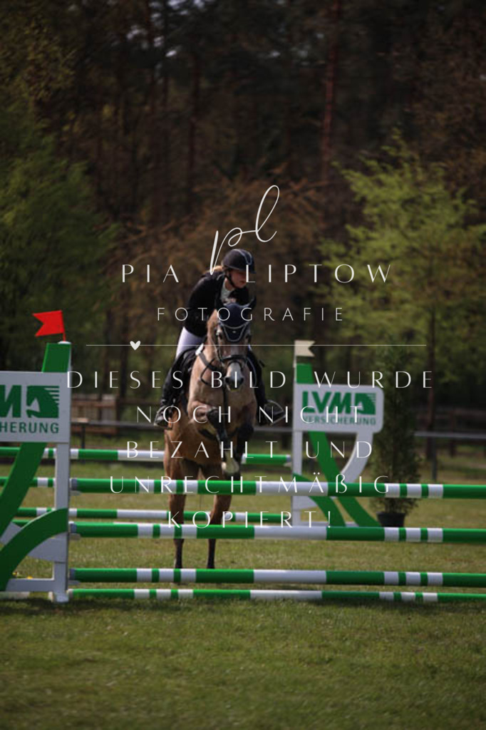 IMGT5371 | pl-fotografie