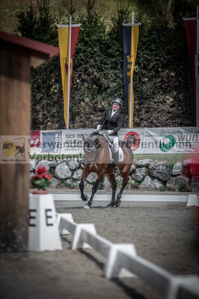 DSC_0528 | equestrian-live-com