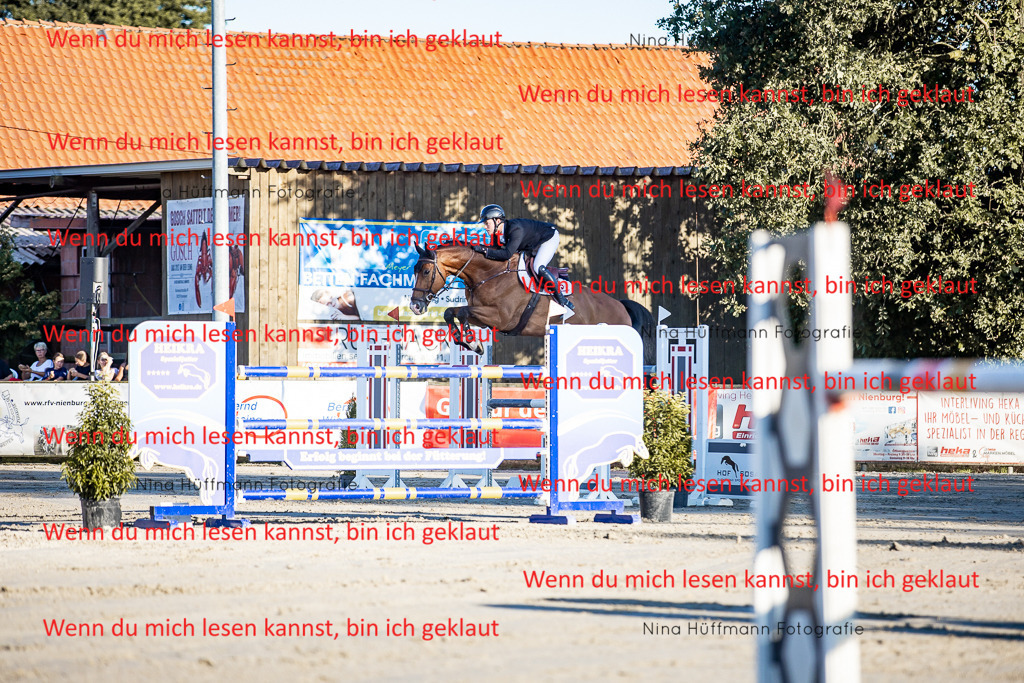 BK1A8441 | Turnierbilder Turnierfotos Nina Hüffmann Turnierfotografie Pferdefotografie Tierzeichnung Haustierzeichnung Pferdezeichnung Hundezeichnung Videograf  - Realisiert mit Pictrs.com