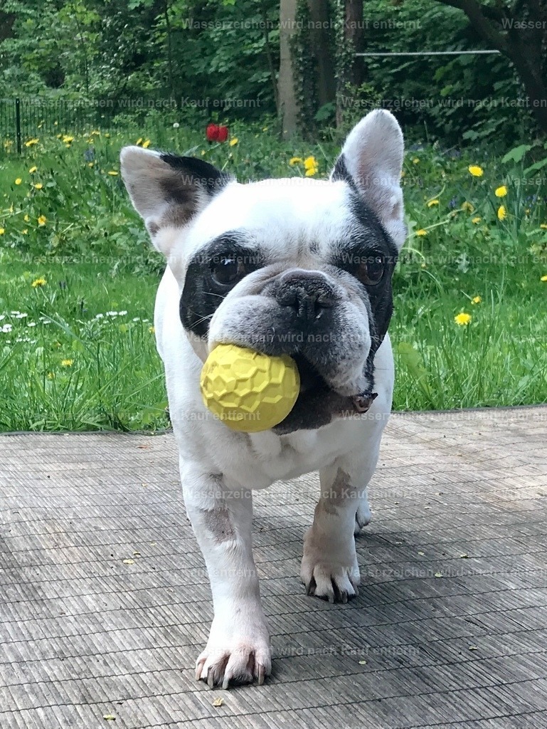 IMG_1286 | heikomoeller - Realisiert mit Pictrs.com