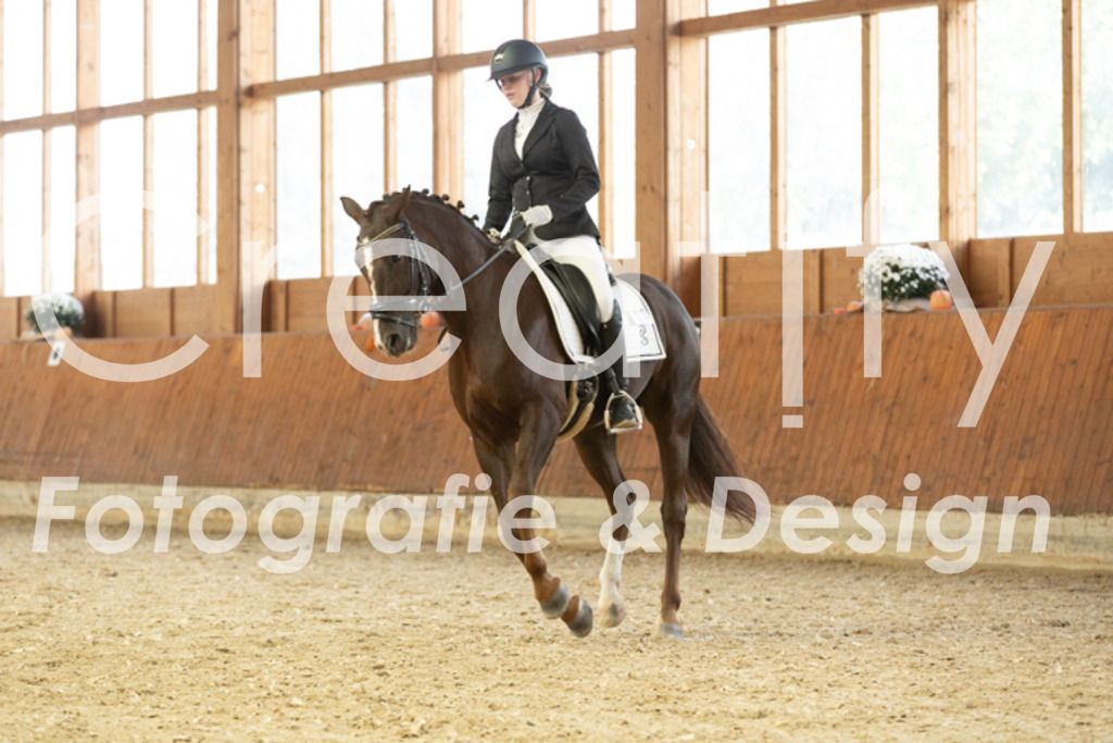 IMG_2061 | Creatify Fotografie