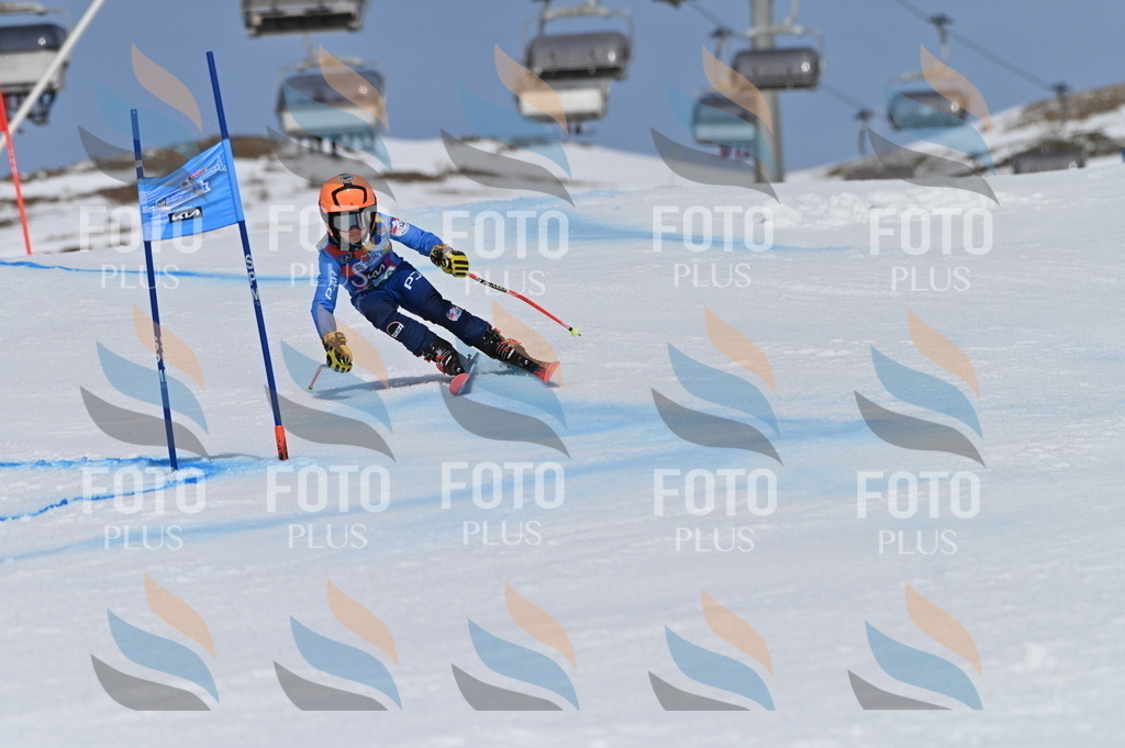 BGV_3341 | holidayphoto