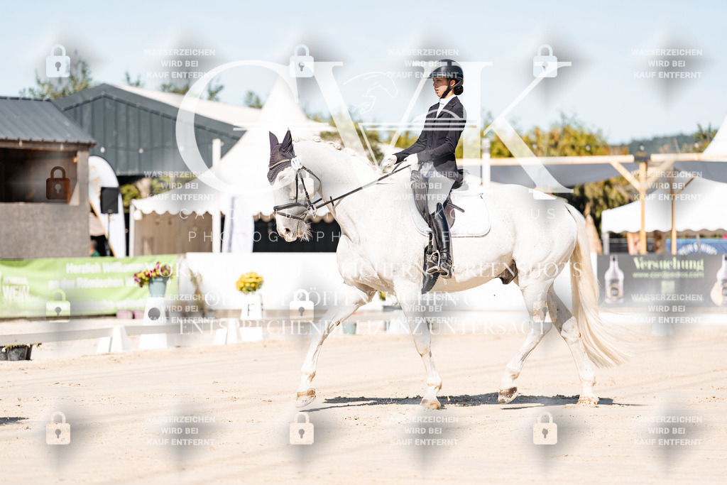 CK908886 | Turnierfotografie Pferdefotografie Trier Rheinland-Pfalz Pferdesport Reitsport Tierfotografie Sportfotografie Pferdevideo Pferdevideografie Equestrianvideography equestrianphotography  - Realisiert mit Pictrs.com