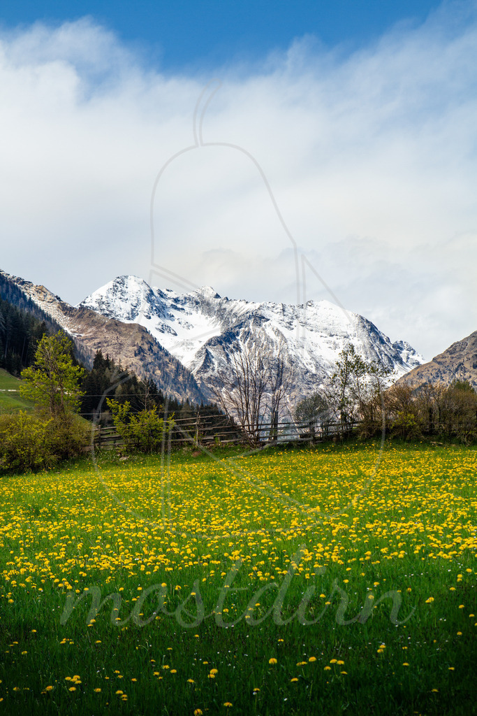 Großes Gangl und Pöllerhöhe | Bei Veröffentlichung des Bildes ist eine Namensnennung wie folgt erforderlich: Foto: Mostdirn Irmgard Wieser - Realisiert mit Pictrs.com