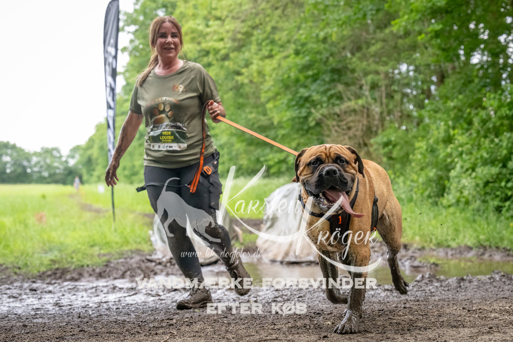1538_ZZ94708-Bearbeitet | kk-dogfotos