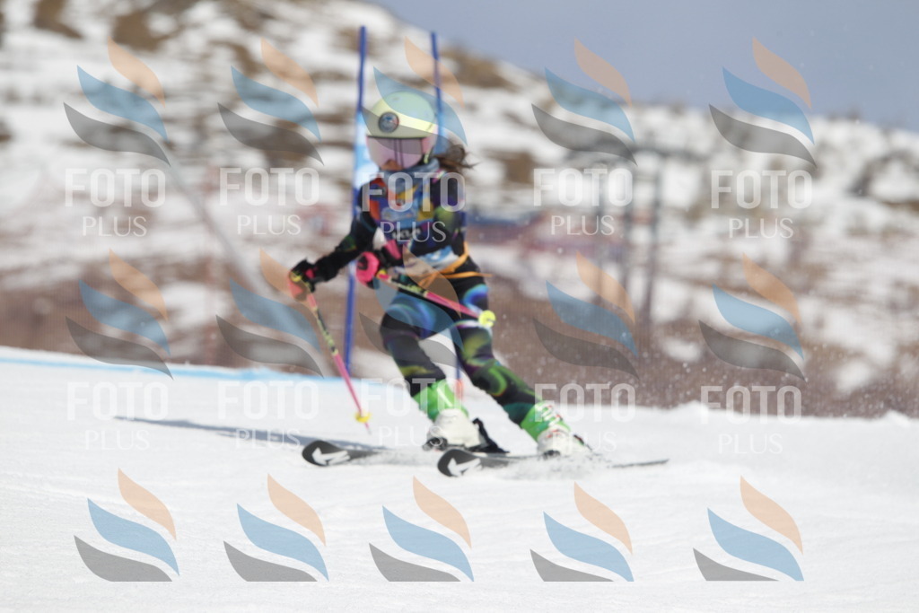 _U3G1761 | holidayphoto