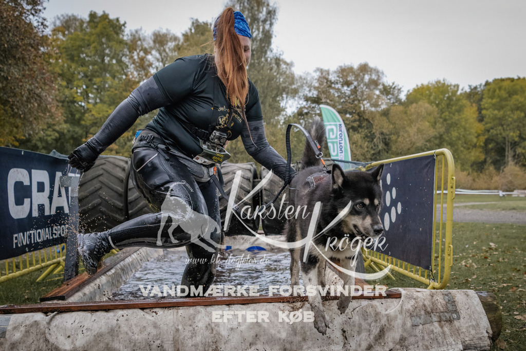 1706_ZZ94976 | kk-dogfotos