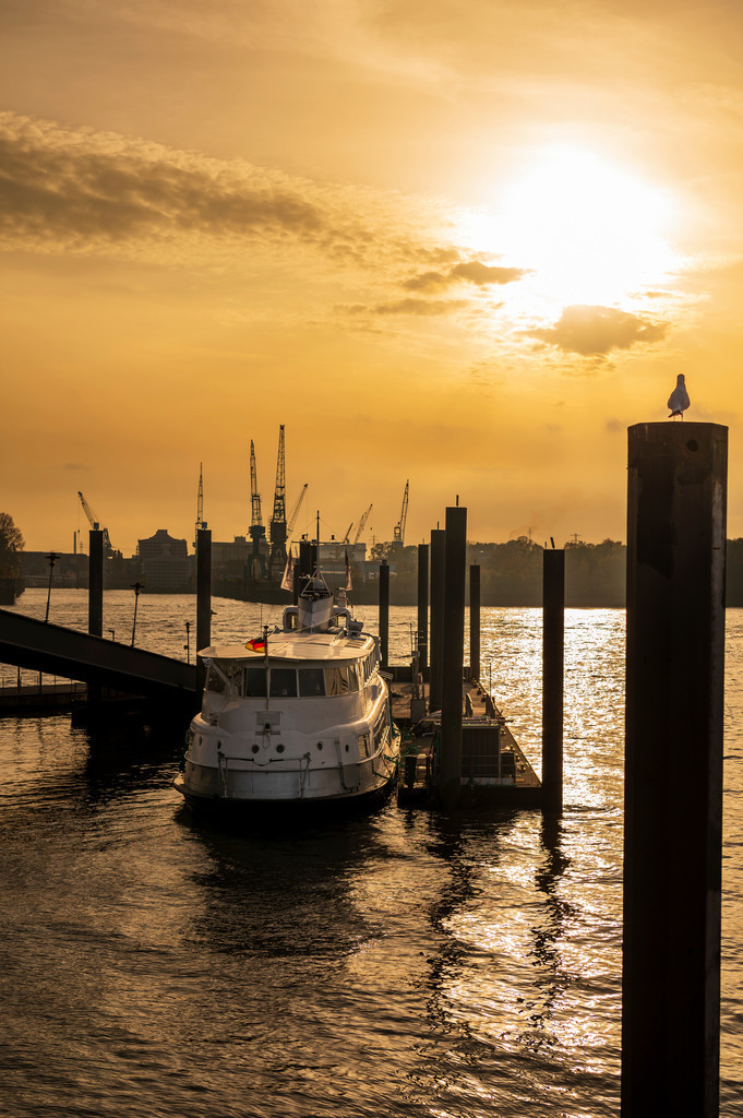 2022_10_31_HAMBURG_MCP5513 | Hochwertig gedruckte Fotografien für die Wand, als Kalender und zum Verschenken. Hamburg & Norddeutschland und überall wo ich mit der Kamera unterwegs war.