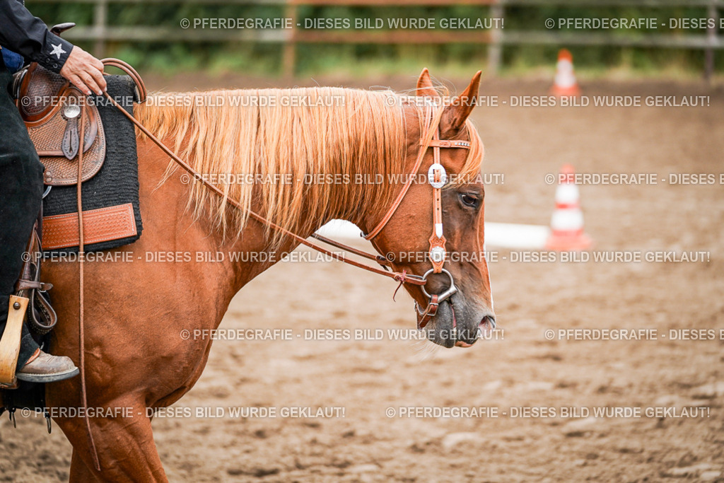 DSC03263 | Pferdegrafie