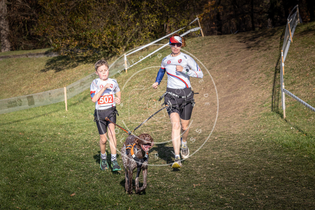 CaniXpix_0L8A8377 | Hundefotografie, Tierfotograf, Pfotenfotografie, Fotoshooting Hund, Hunde Portrait, Hundesport, Hundeportraits, Heideshooting, Hunde, Sportfotograf, Hundefotograf, Turnierhundsport, THS,  - Realisiert mit Pictrs.com