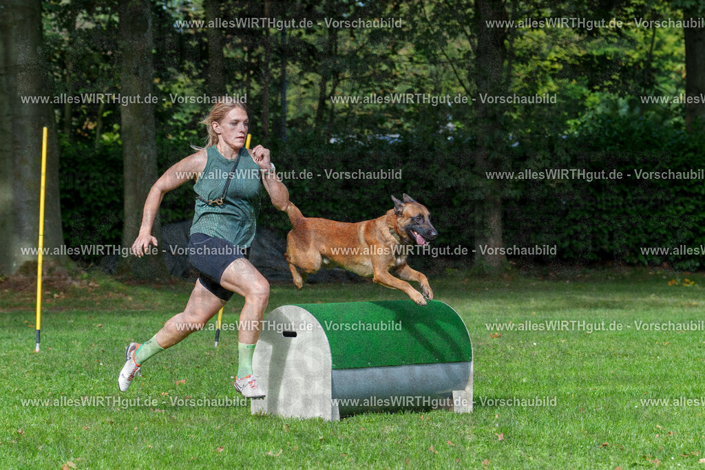 THS_Turnier_27-09-2026-allesWIRTHgut_Tierfotografie-7R507111 | Professionelle Tierfotografie in Mönchengladbach von Daniel Wirth (allesWIRTHgut). Liebevolle & natürliche Bilder von Hunden & Katzen für unvergessliche Erinnerungen.