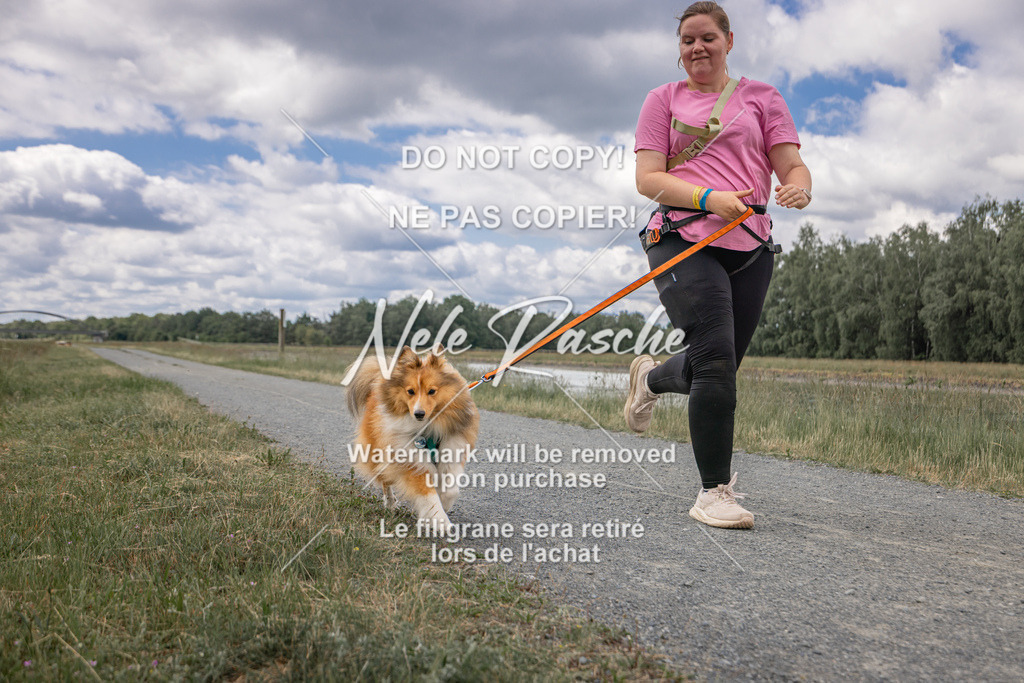 nelerasche_BuHu2026_SaCC1100-1200_117 | nelerasche