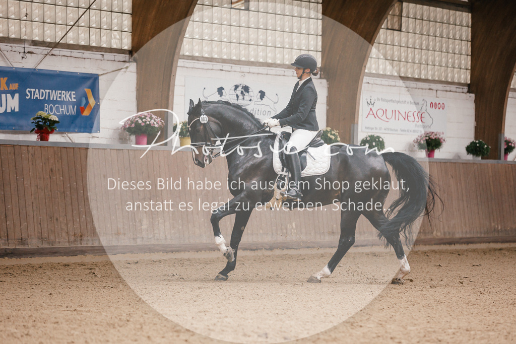 3I6A8746 | Stimmungsvolle Portraits und Reitsportfotografie im Ruhrgebiet und im Münsterland.

Pferdefotografie, Hundefotografie, Tierfotografie, Reportagen, Portraits von Tier und Mensch, Turnierfotografie in Bochum, Recklinghausen, Marl, Haltern am See, Dülmen.. - Realisiert mit Pictrs.com