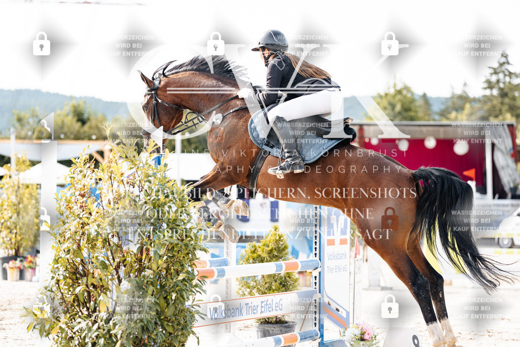 CK905658 | Turnierfotografie Pferdefotografie Trier Rheinland-Pfalz Pferdesport Reitsport Tierfotografie Sportfotografie Pferdevideo Pferdevideografie Equestrianvideography equestrianphotography  - Realisiert mit Pictrs.com