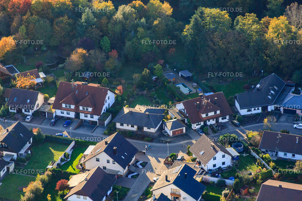 Südring | Luftbild: Südring in Rülzheim im Bundesland Rheinland-Pfalz in Deutschland. Foto: IMG_60451.jpg vom 24.10.2013 durch Werner Riehm/FLY-FOTO.de - Realisiert mit Pictrs.com
