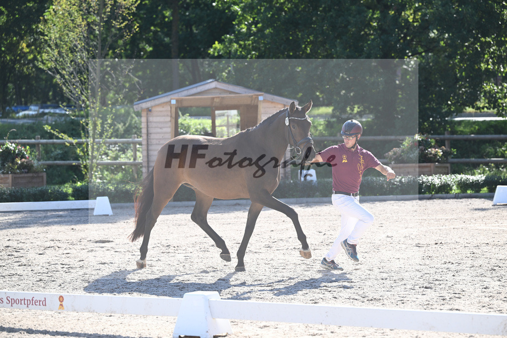 Kat-Nr. 13 La Jolie_Finkler_36230759 | hf-fotografie - Realisiert mit Pictrs.com